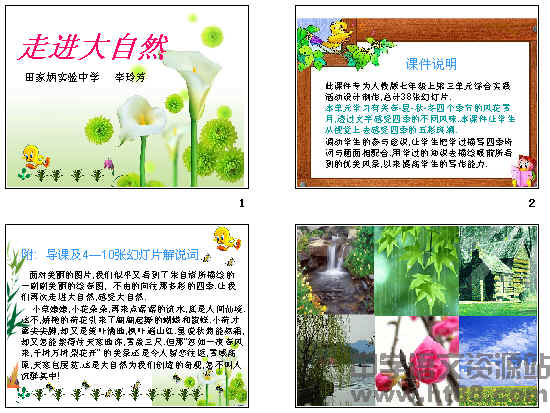 五年级下学期综合性学习(走进信息世界)我要P