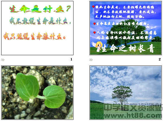 以生命、健康为内容写一段话,使用比喻、排