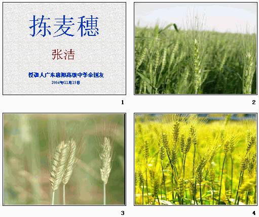 查看预览图
