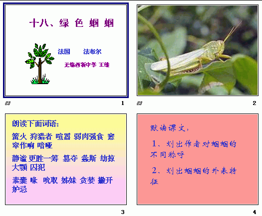 查看预览图