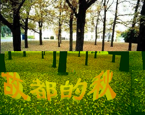 查看预览图