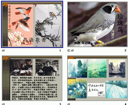 查看预览图