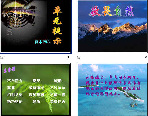 查看预览图