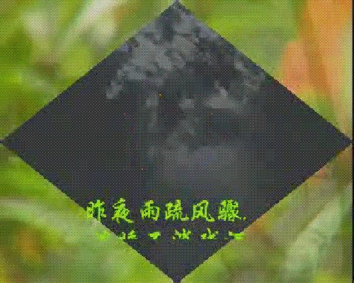 查看预览图