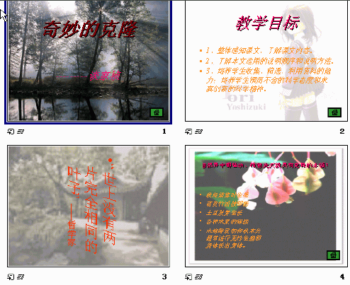 查看预览图