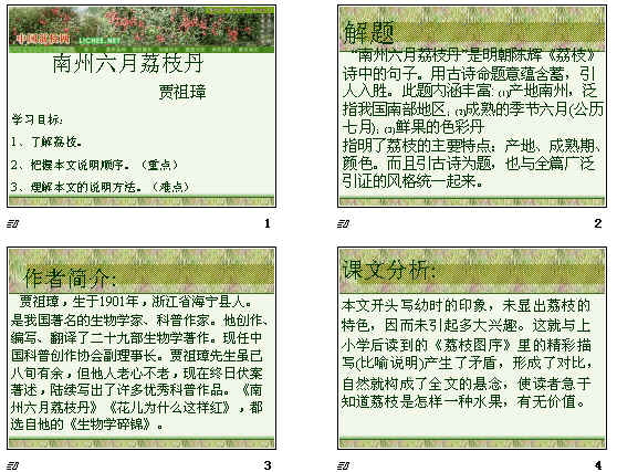 查看预览图