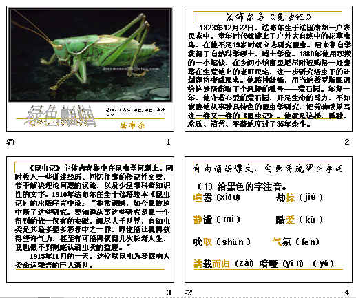 查看预览图