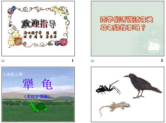 查看预览图