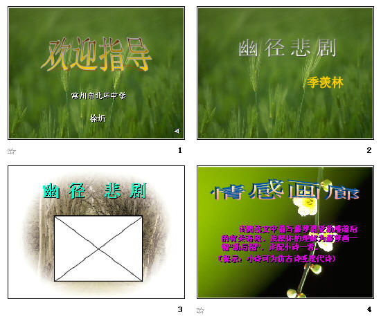 查看预览图