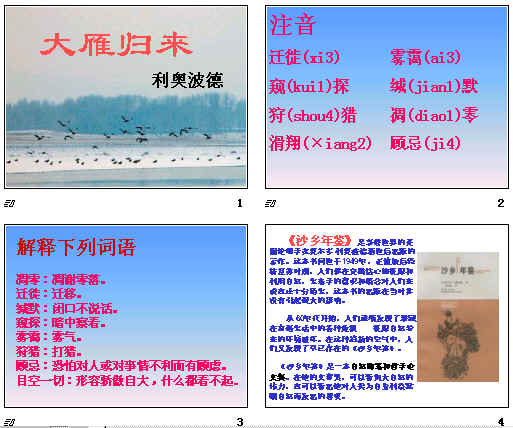 查看预览图