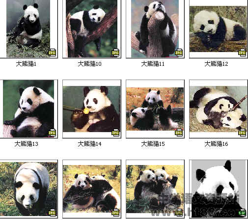 查看预览图