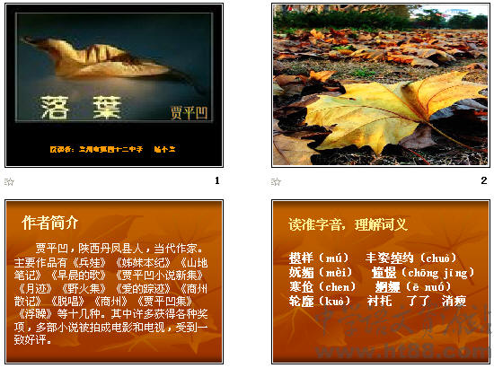 查看预览图