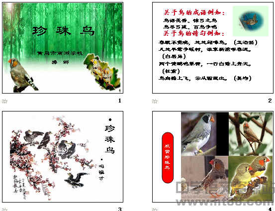 查看预览图