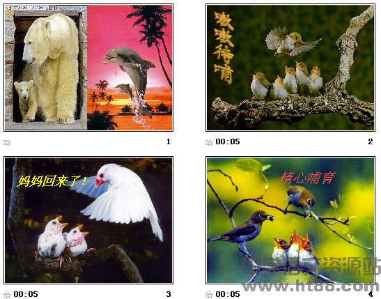 查看预览图