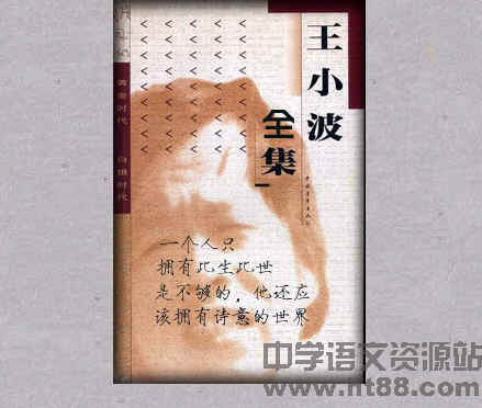 王小波全集电子书 通用