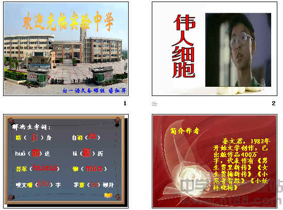 查看预览图