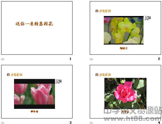 查看预览图
