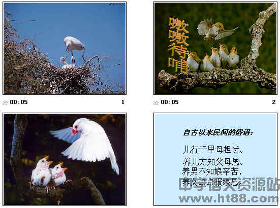 查看预览图