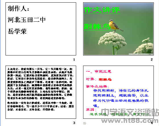 查看预览图