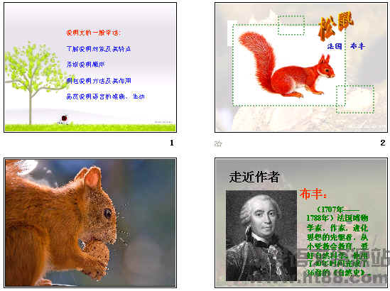 查看预览图