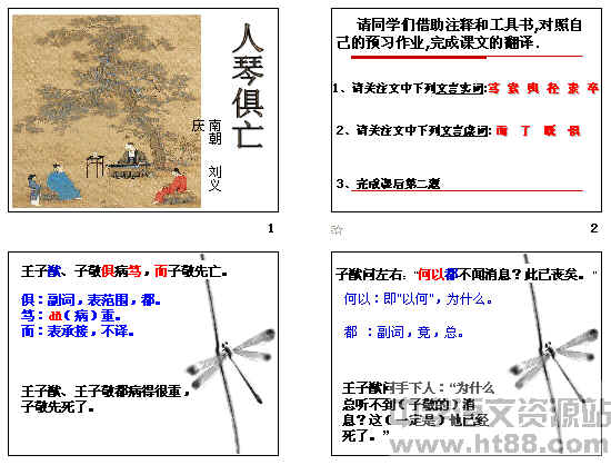 查看预览图