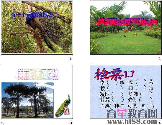 查看预览图
