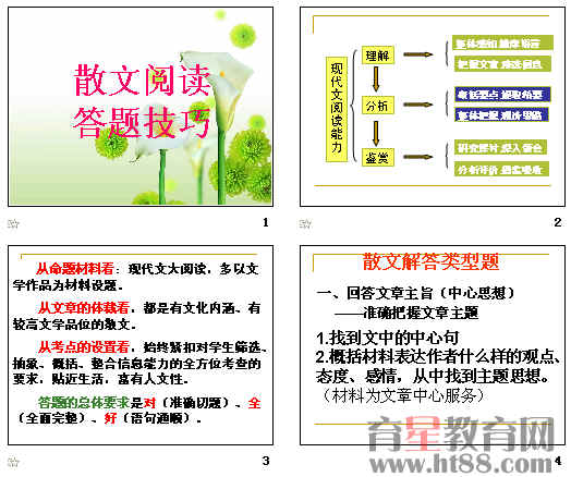 高考复习散文阅读答题技巧ppt