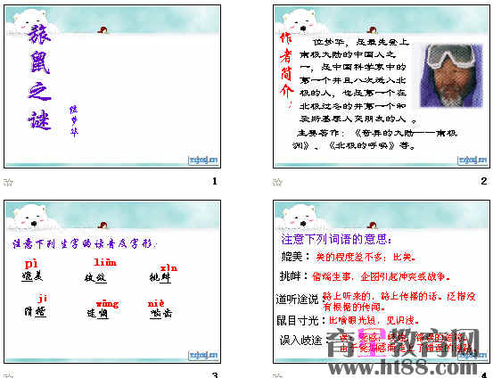 查看预览图