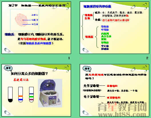 中学语文资源站---高级搜索