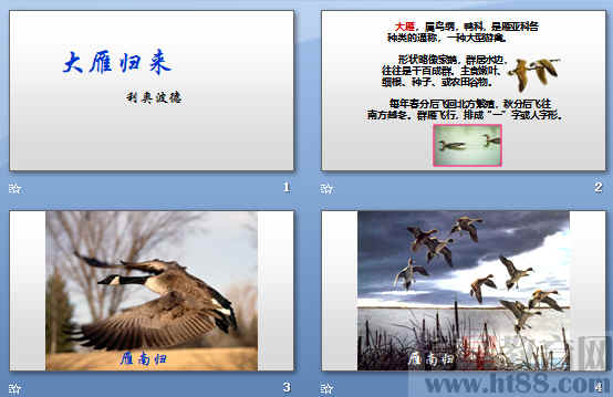 查看预览图