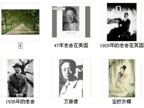 鿴Ԥͼ