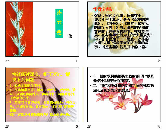 鿴Ԥͼ