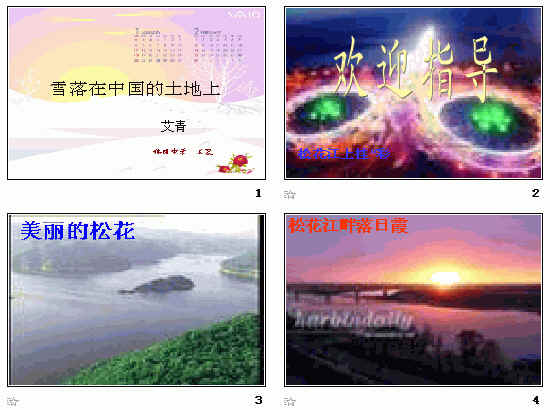 查看预览图