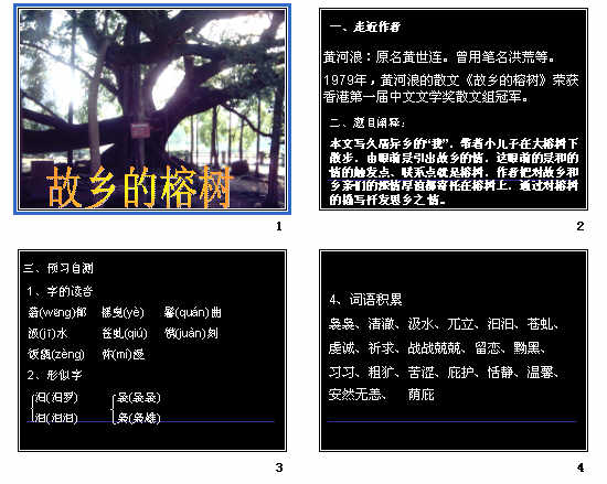 查看预览图