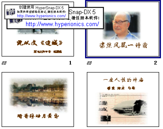 查看预览图