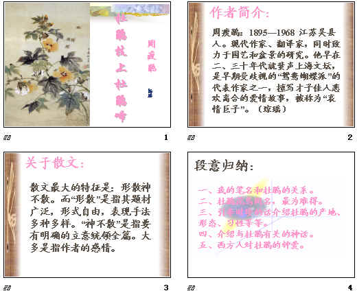 鿴Ԥͼ