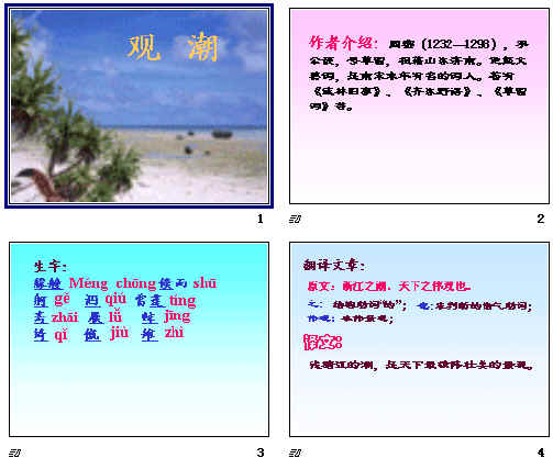 查看预览图
