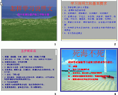 鿴Ԥͼ