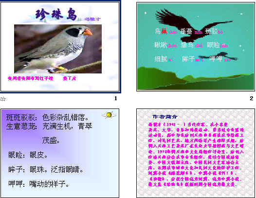 鿴Ԥͼ