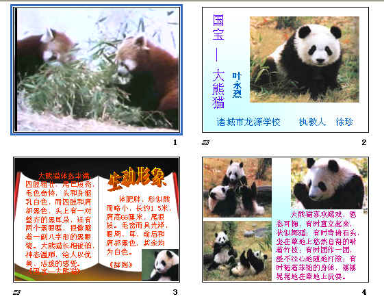 查看预览图