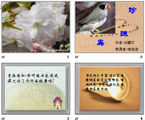 查看预览图