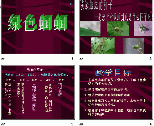 查看预览图