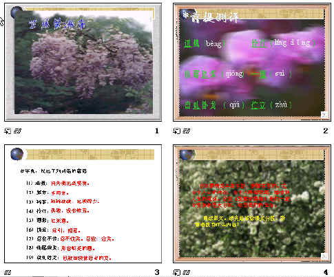 查看预览图