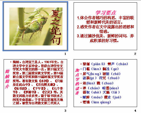鿴Ԥͼ