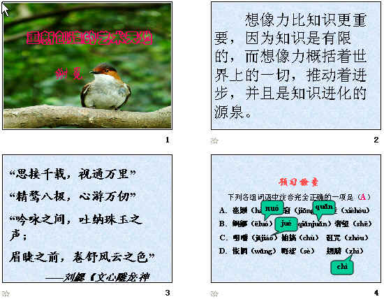 查看预览图