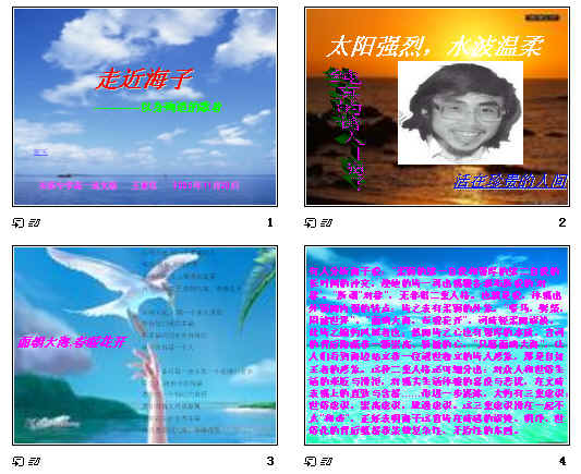 查看预览图