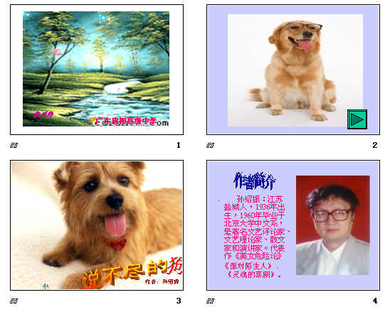 鿴Ԥͼ