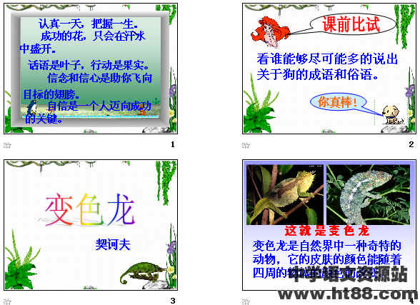 查看预览图