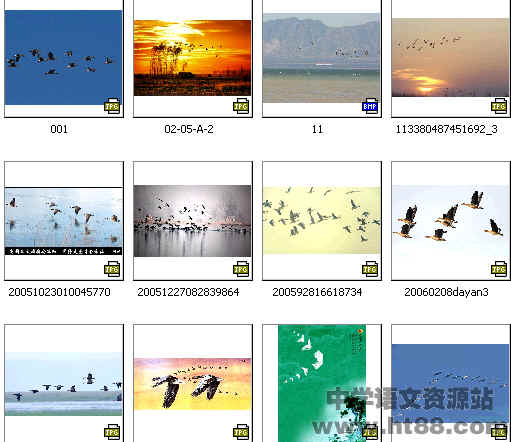 查看预览图