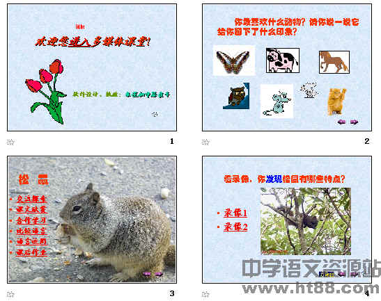 鿴Ԥͼ